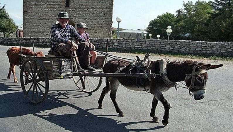 Transport in Georgia
