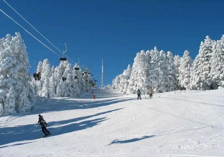 Ski resort in Bakuriani